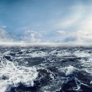 Meet your Posher, Marley